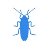 Уничтожение тараканов в Мытищах