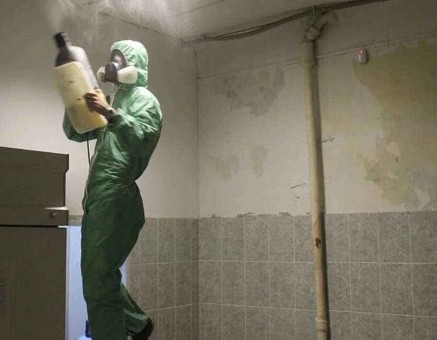 Дезинсекция склада для уничтожения тараканов в Чехове